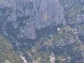 2014 gole del verdon francia (73).JPG