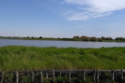 IMG_20190601_111233