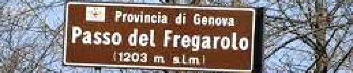 Gualtiero Viola